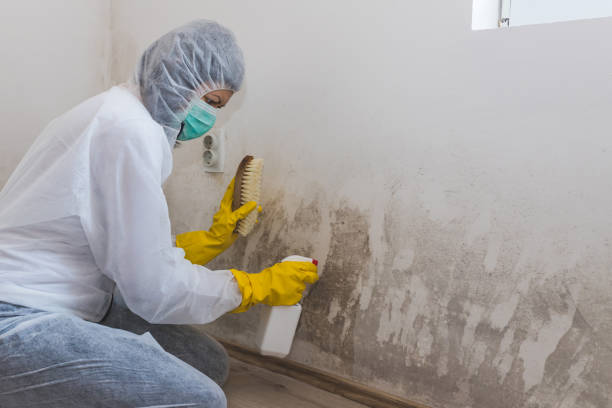 Best HVAC Mold Inspection and Cleaning  in Saunders Lake, OR