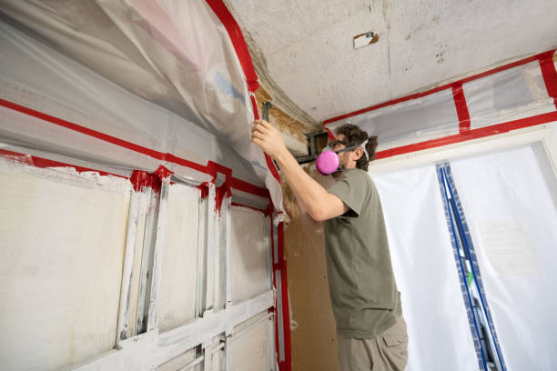 Best Commercial Mold Inspection  in Saunders Lake, OR