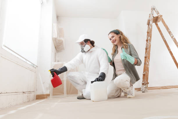 Best Attic Mold Removal  in Saunders Lake, OR